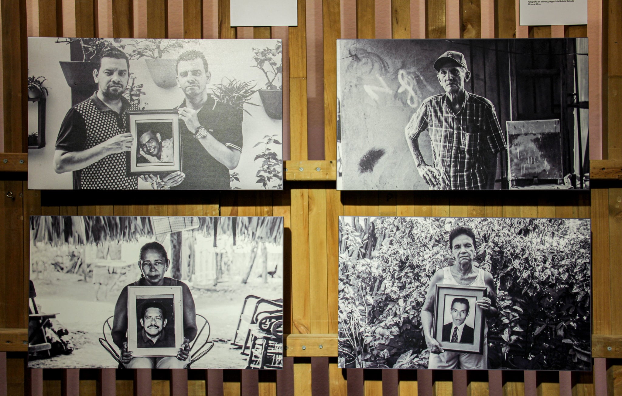 El mochuelo vuela hacia Bogotá - Galeria.