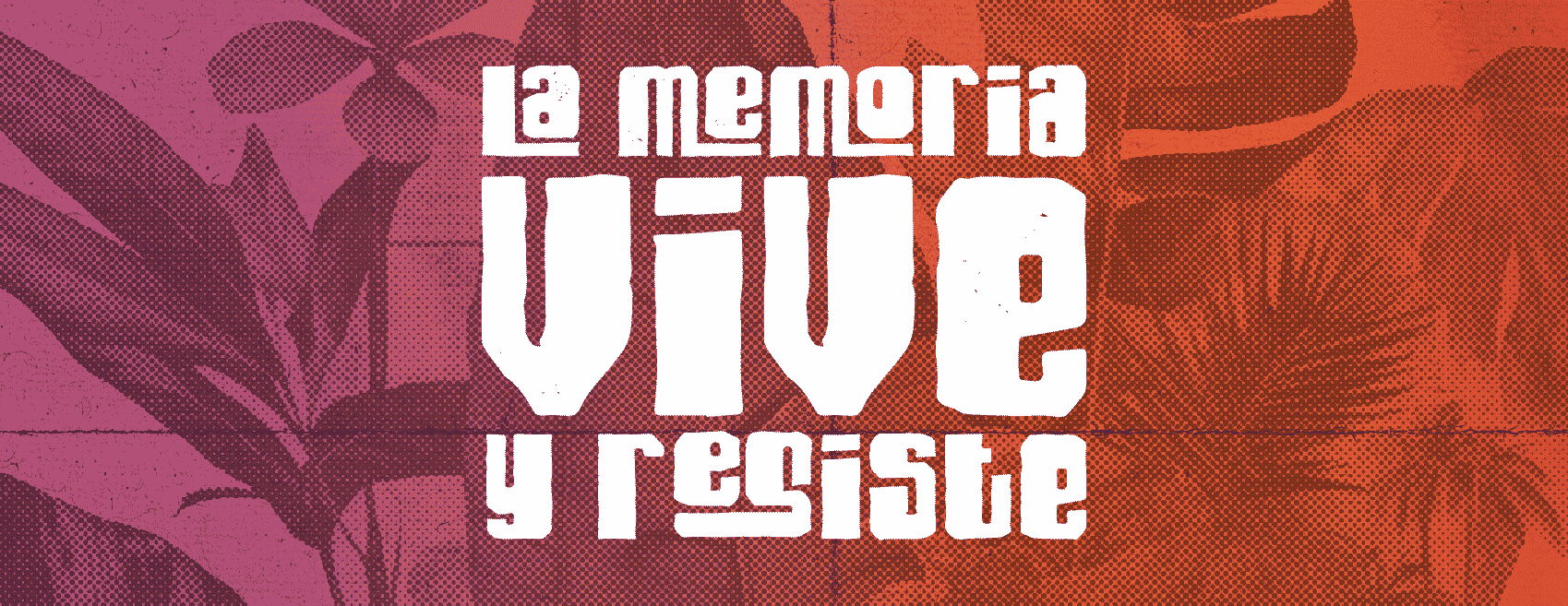 comunicado-de-prensa
