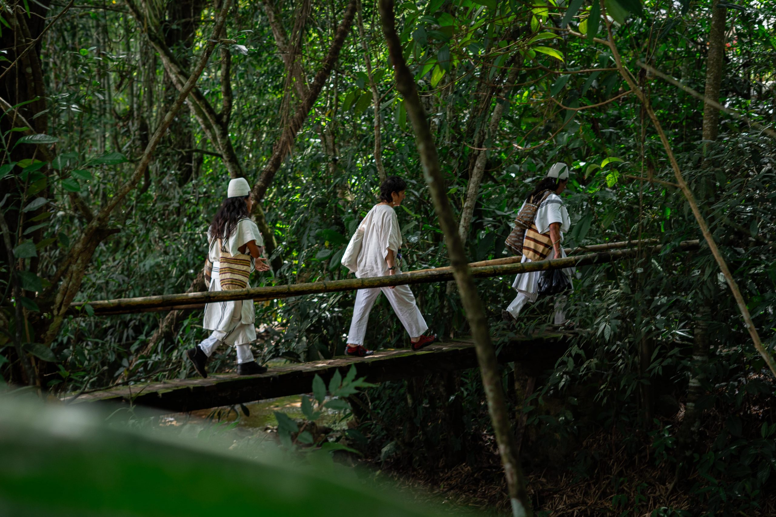 comunicado-de-prensa